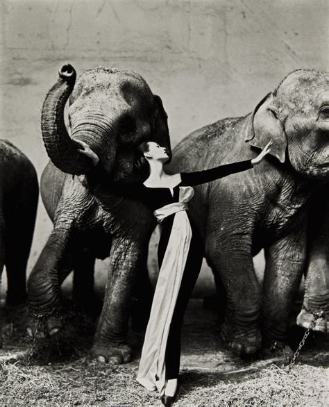 richard avedon elephant dress